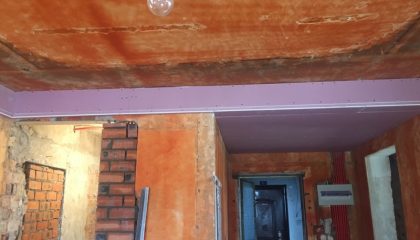 狮山新苑木工阶段