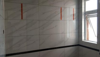 依云华苑瓦工阶段