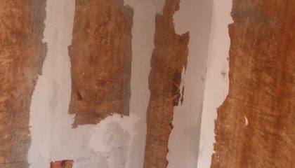 鑫苑国际油漆阶段