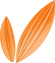 清风装饰·五一长假装修惠 | 定金膨胀200倍！